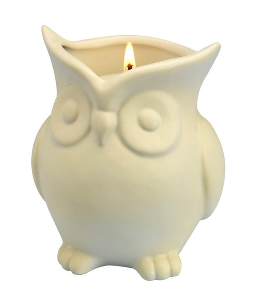 White Birch Scented Owl Candle 