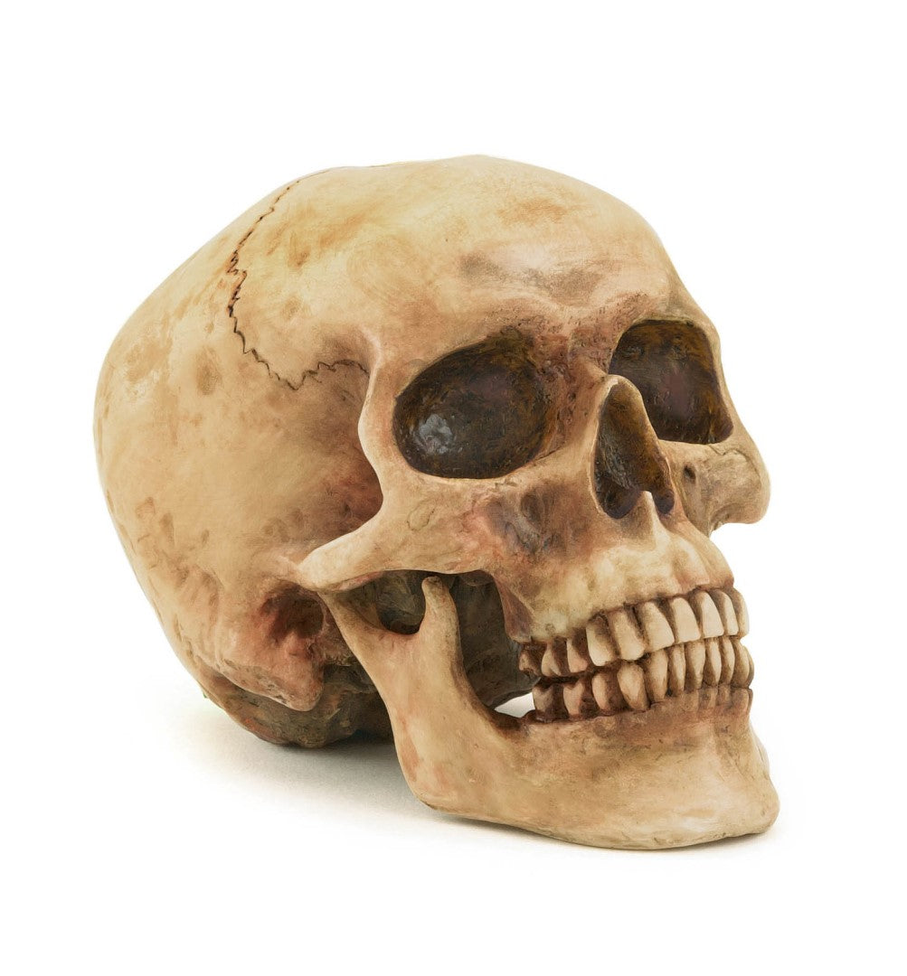 Grinning Skull