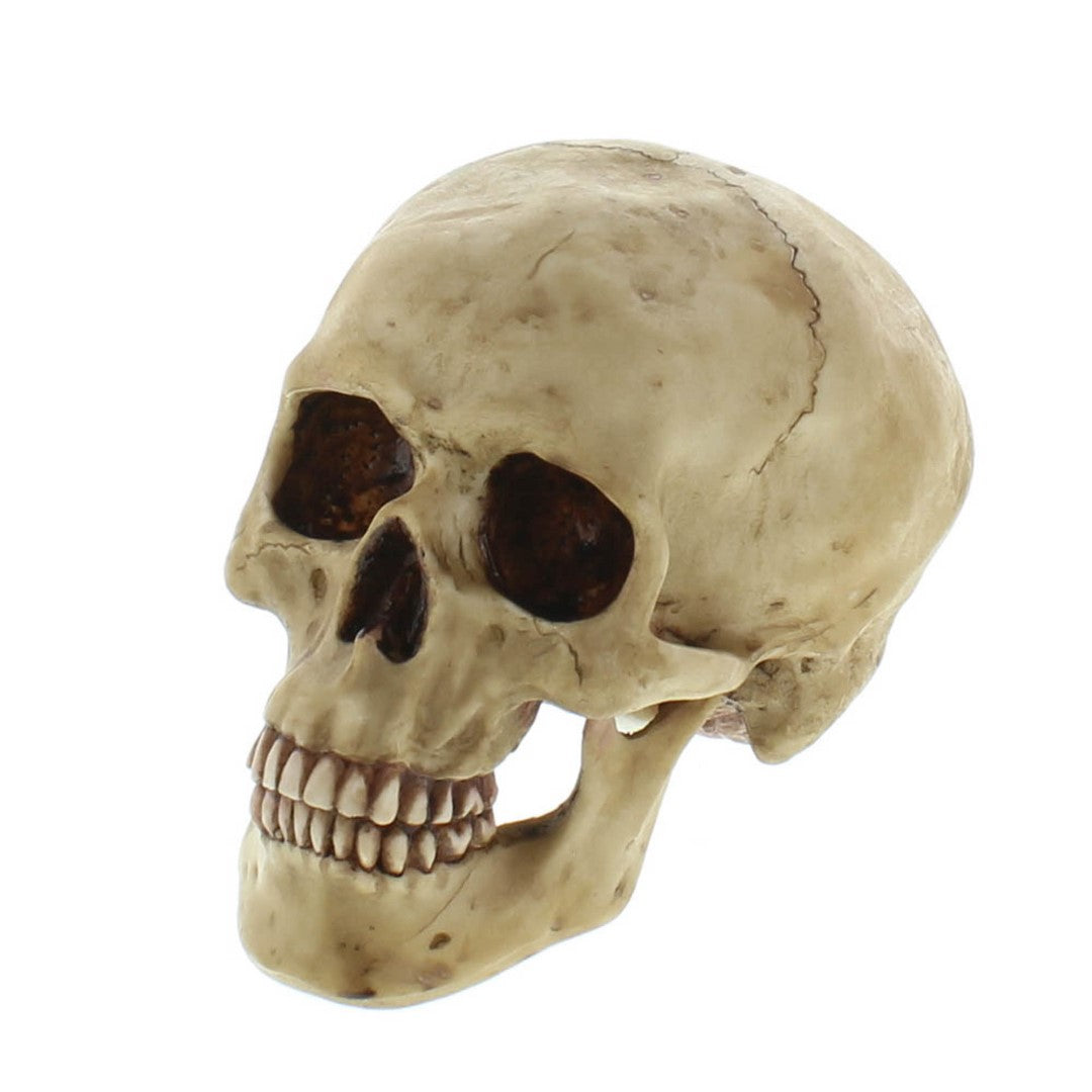 Grinning Skull