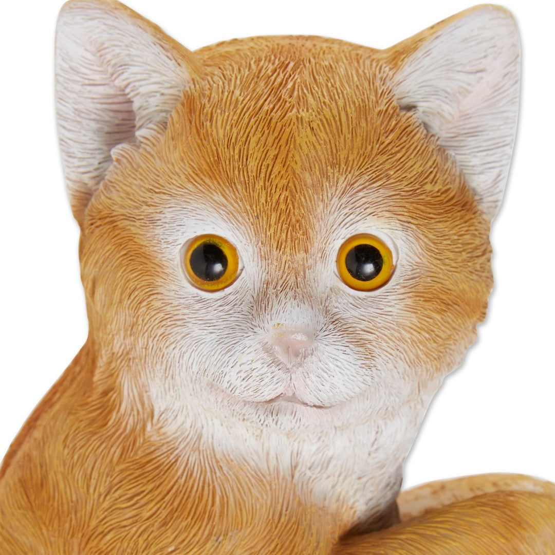 Climbing Cat Amber Decor