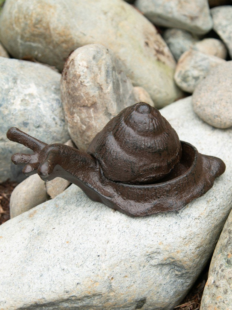Garden Snail Key Hider