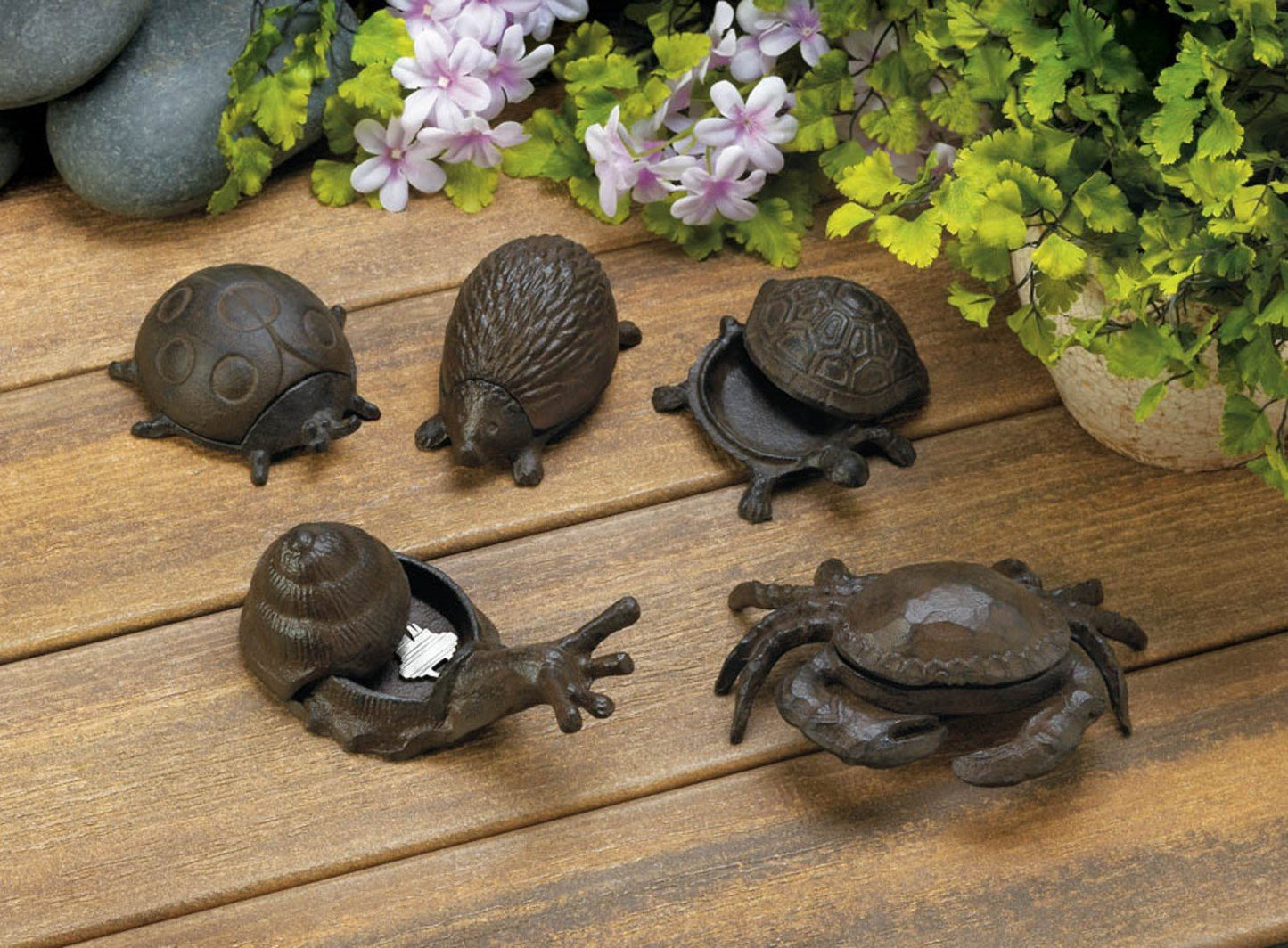 Garden Snail Key Hider