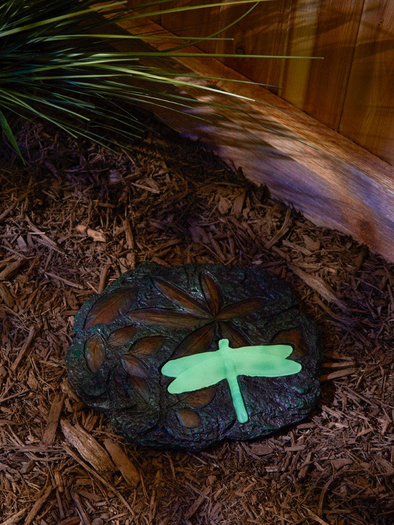 Dragonfly Glowing Stepping Stone