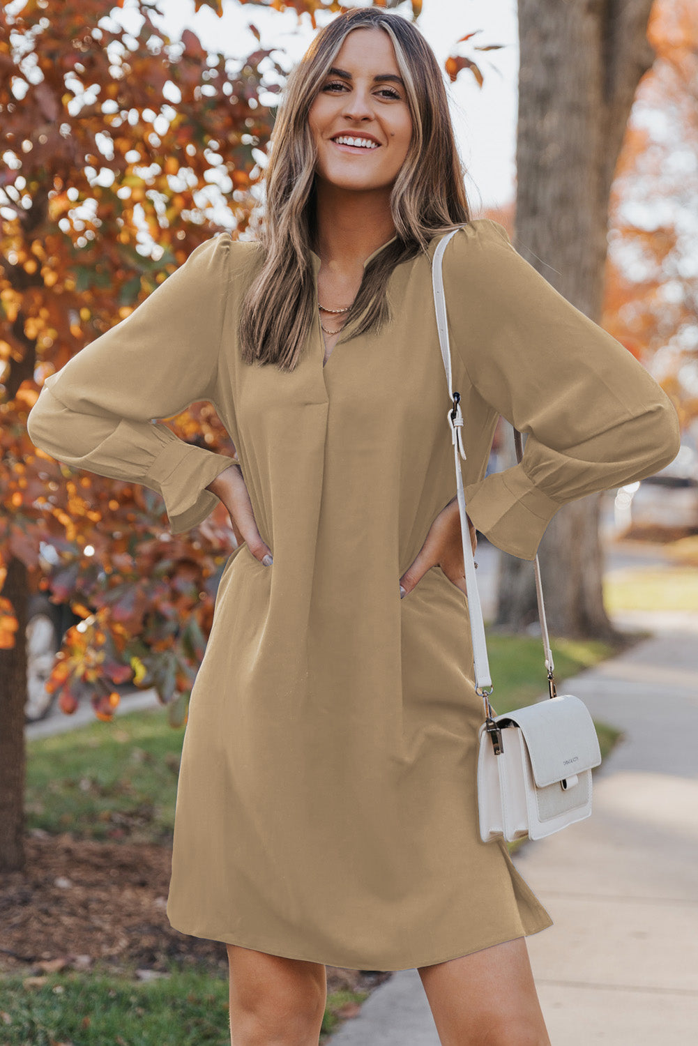 Long Puff Sleeve Notched Neck Dress