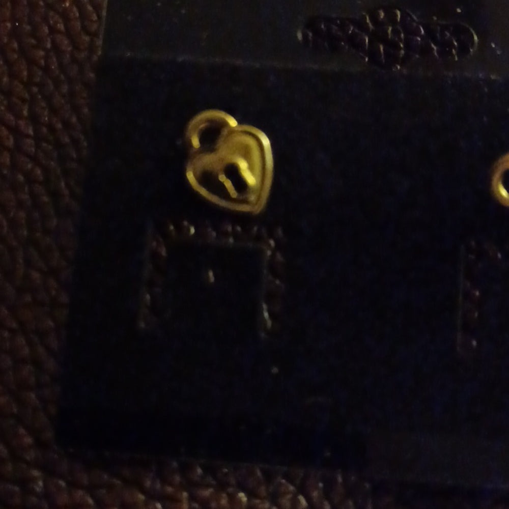 NWOT Pad Lock Earrings