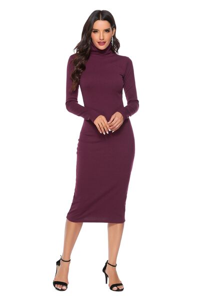 Ribbed Turtleneck Long Sleeve Dress