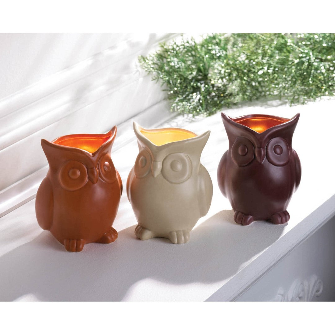 White Birch Scented Owl Candle 