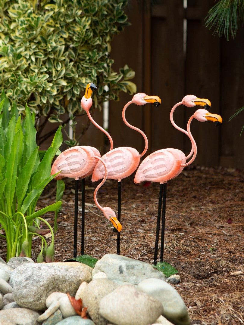 Flock O' Flamingos Decor 