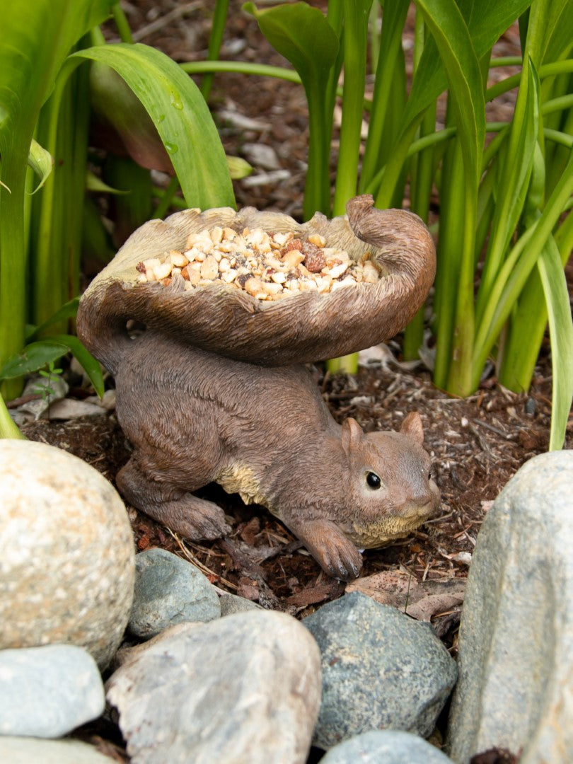 Woodland Squirrel Bird Feeder 