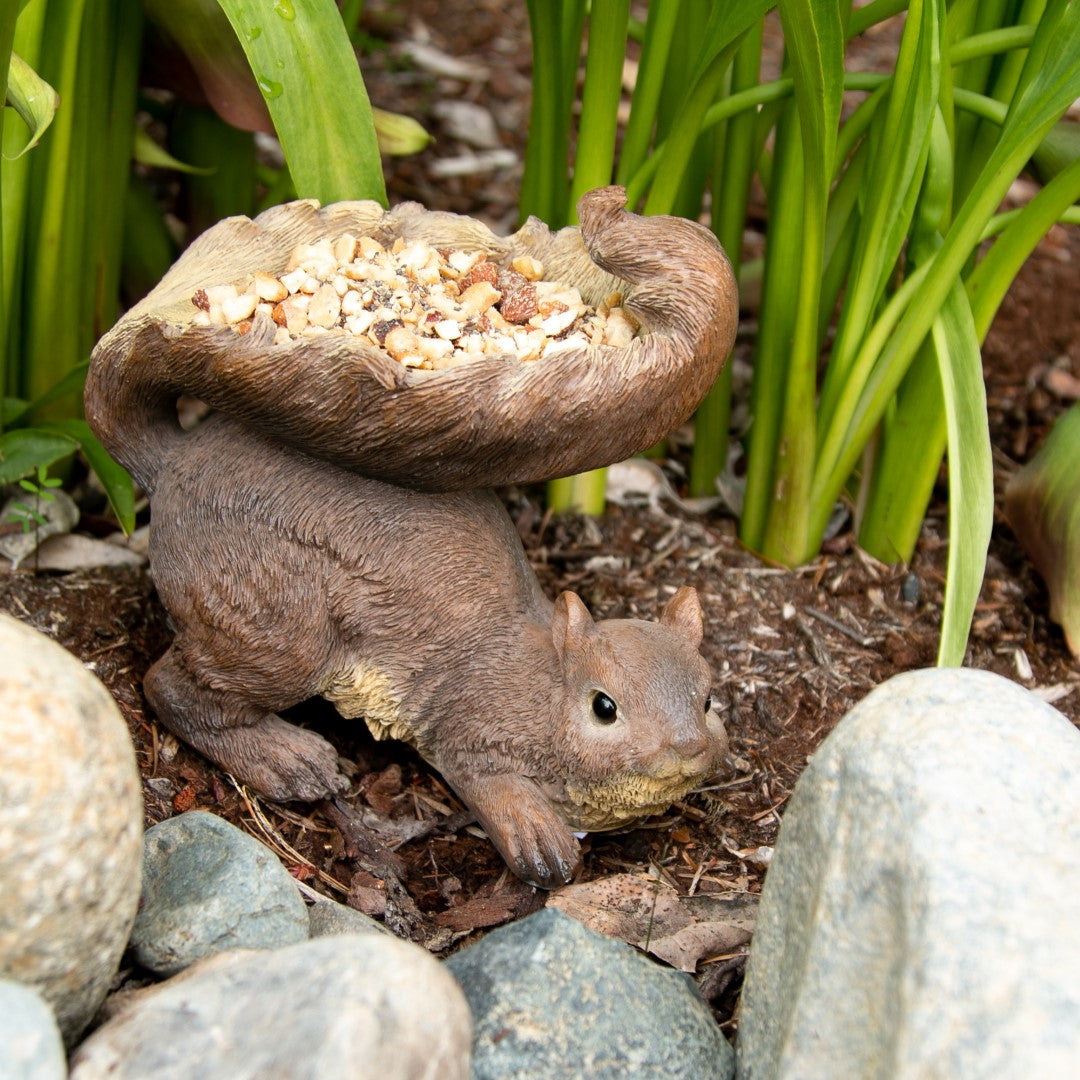 Woodland Squirrel Bird Feeder 