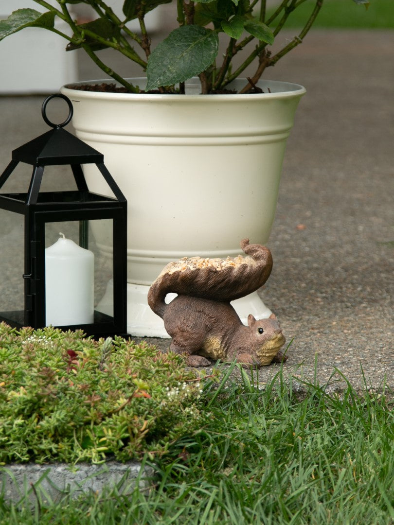 Woodland Squirrel Bird Feeder 