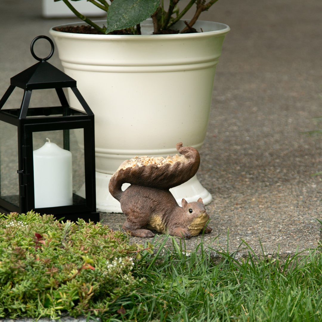 Woodland Squirrel Bird Feeder 