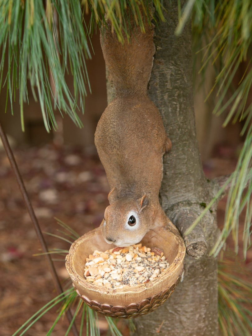 Scurrying Squirrel Bird Feeder 