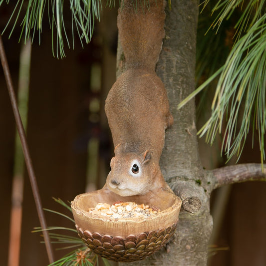 Scurrying Squirrel Bird Feeder 