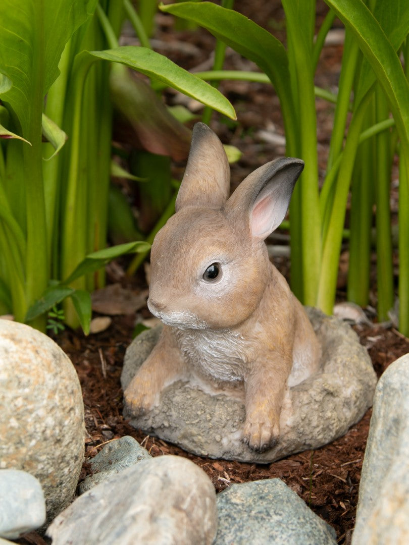 Curious Bunny Garden Decor 