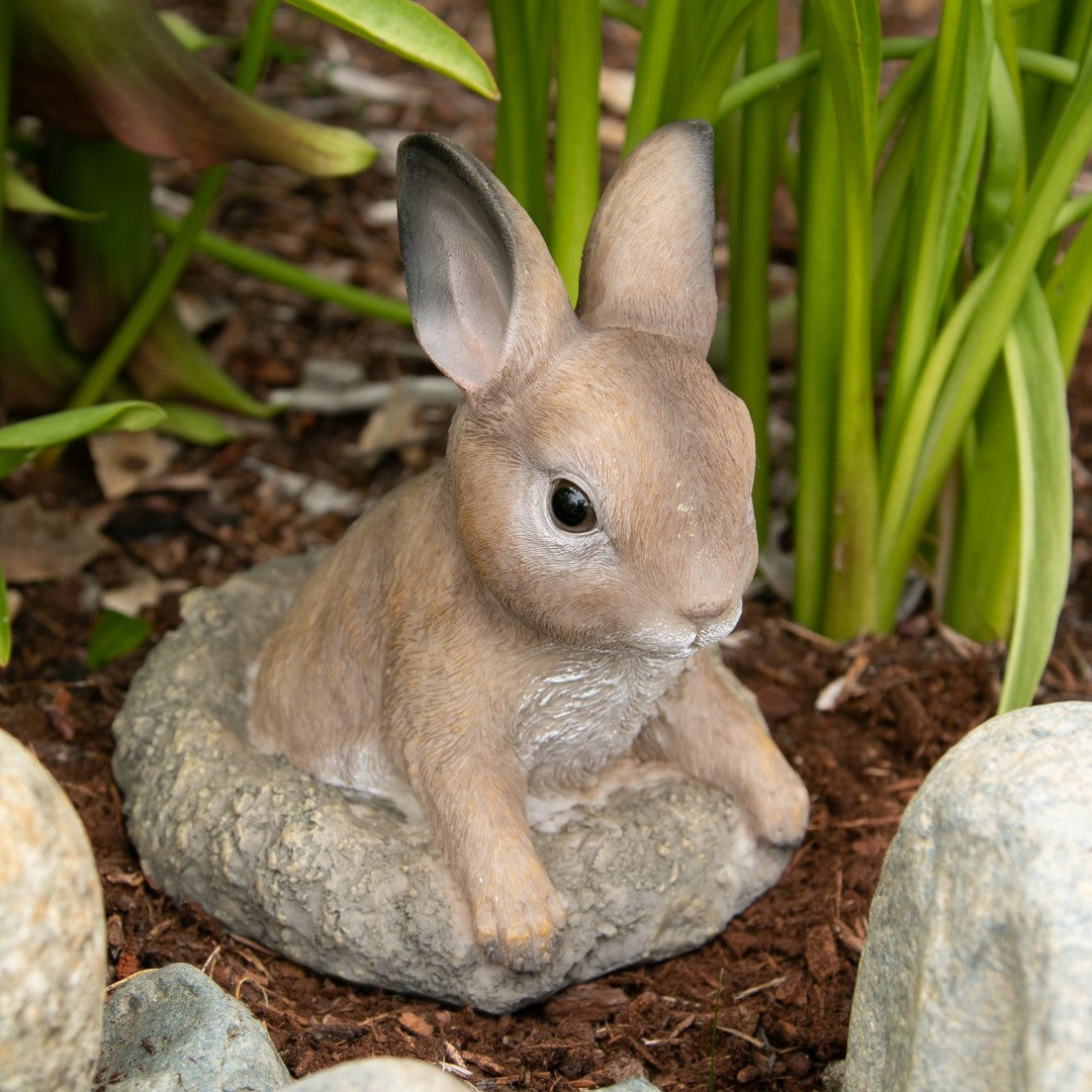 Curious Bunny Garden Decor 