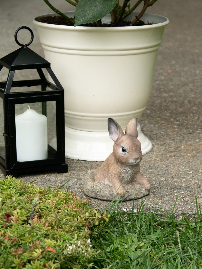 Curious Bunny Garden Decor 