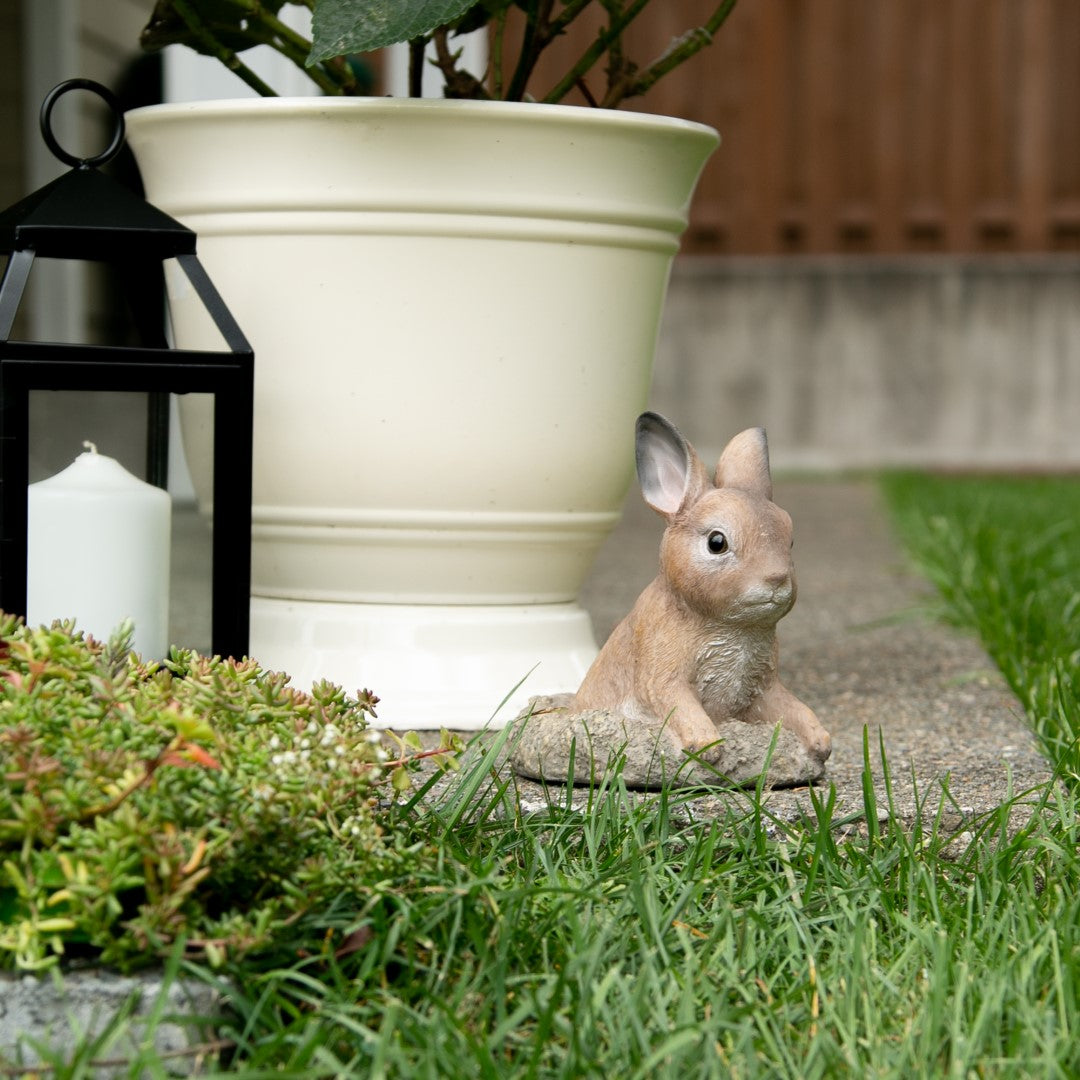 Curious Bunny Garden Decor 