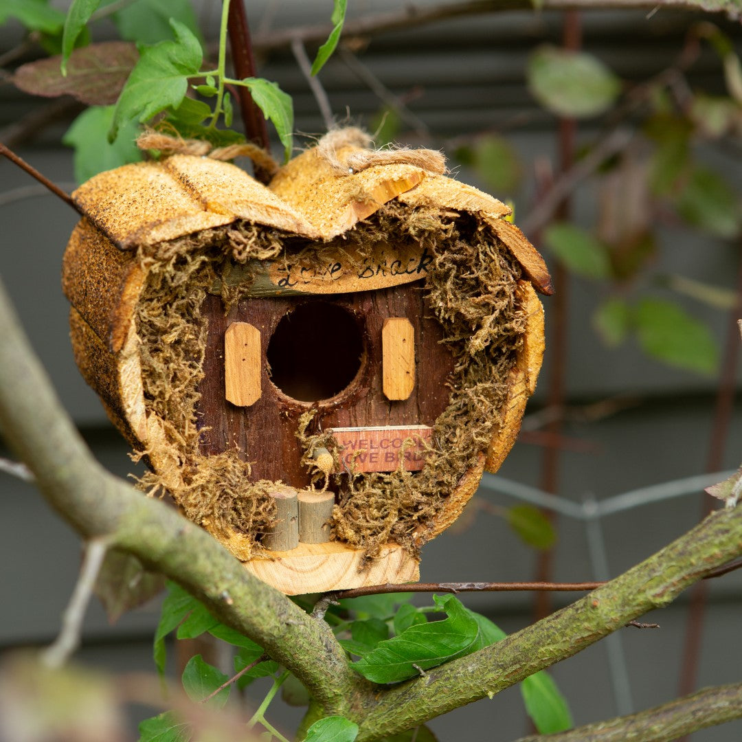 Love Shack Birdhouse 