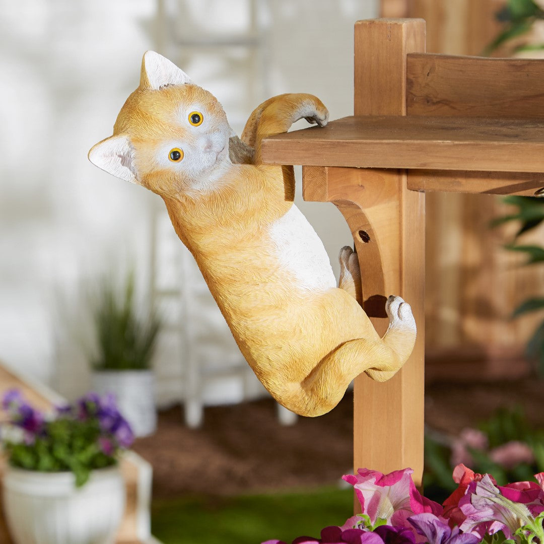 Climbing Cat Amber Decor 