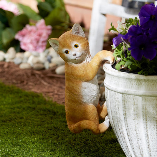 Climbing Cat Amber Decor 