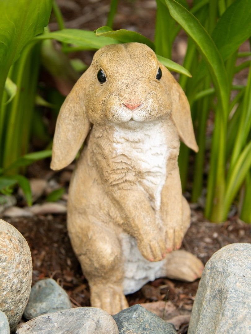 Curious Rabbit Garden Statue 