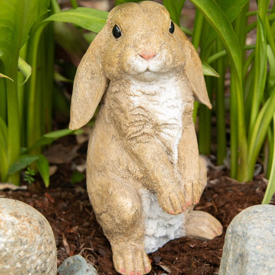 Curious Rabbit Garden Statue 