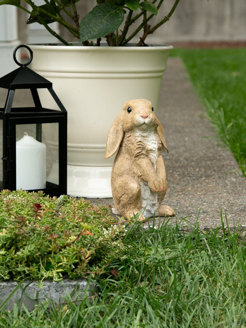 Curious Rabbit Garden Statue 