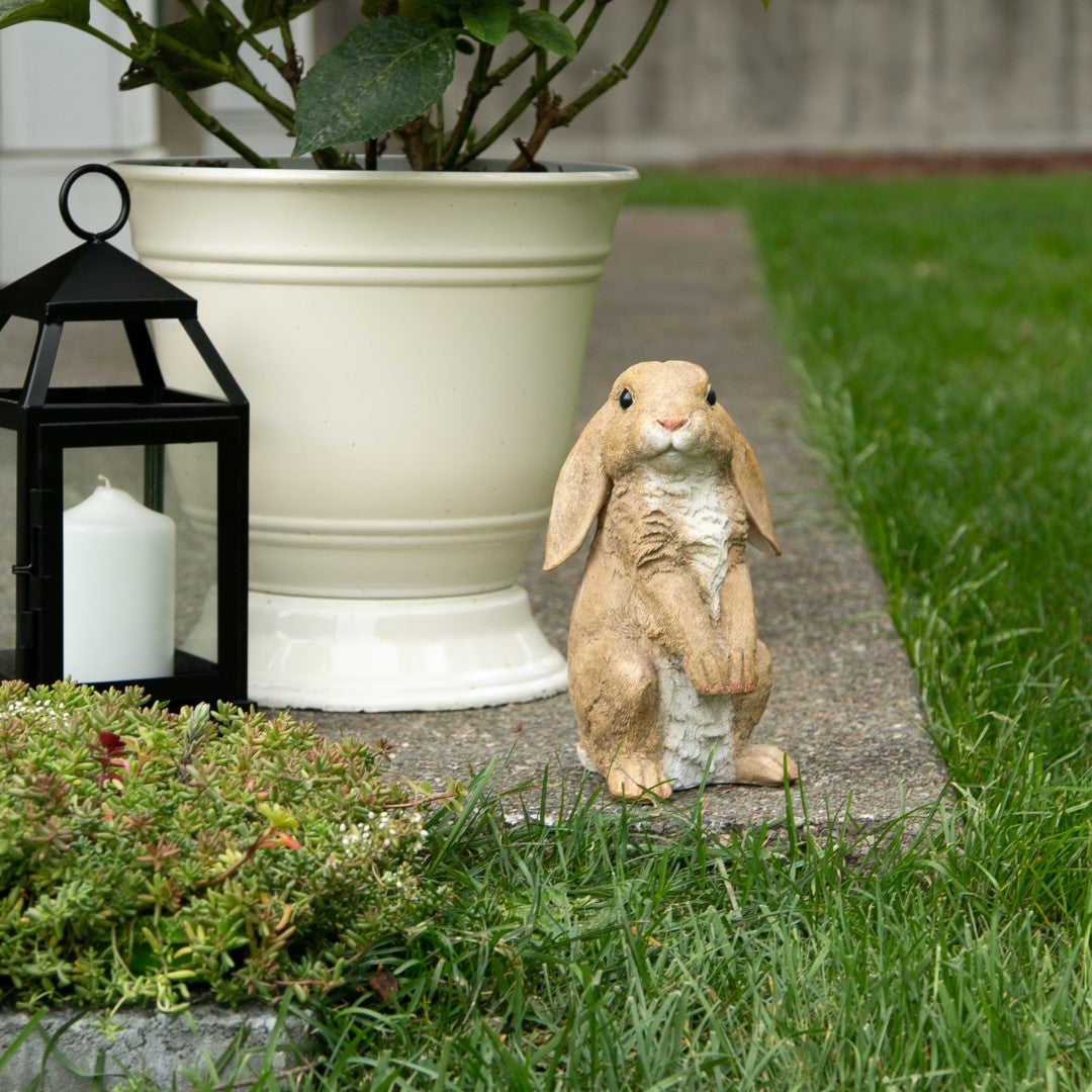 Curious Rabbit Garden Statue 