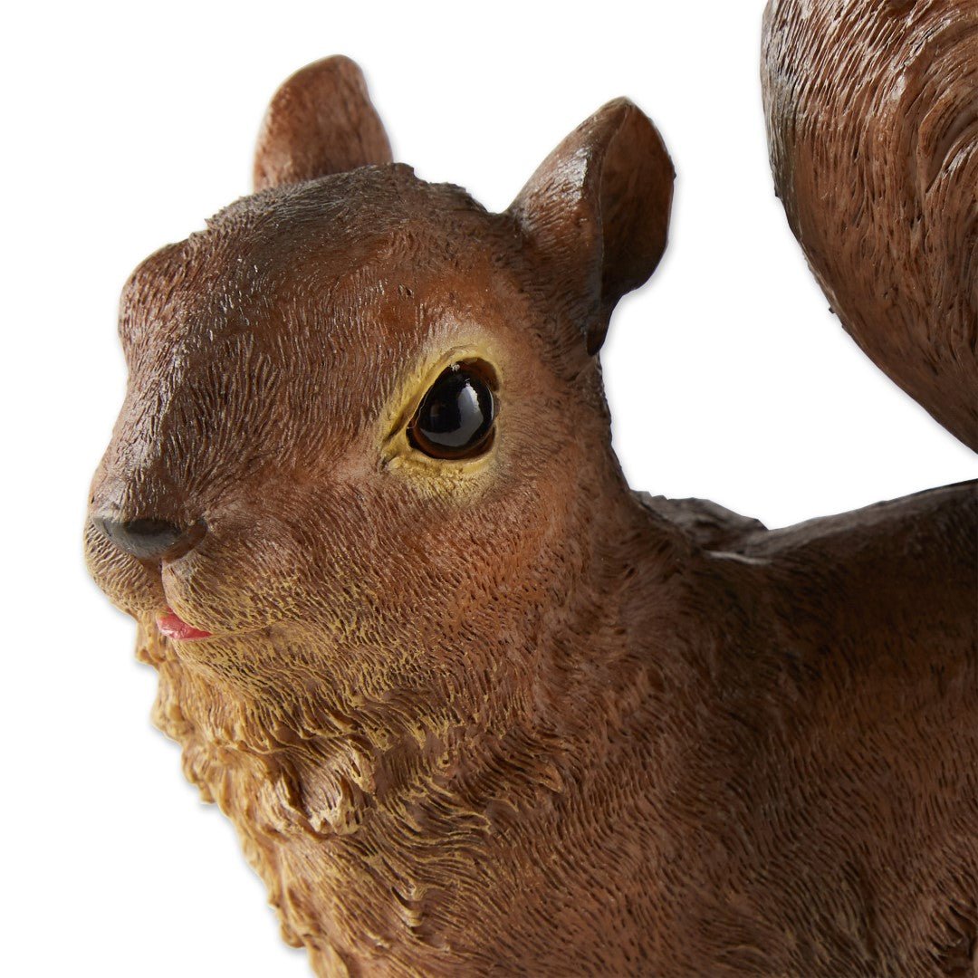 Curious Squirrel Garden Statue 