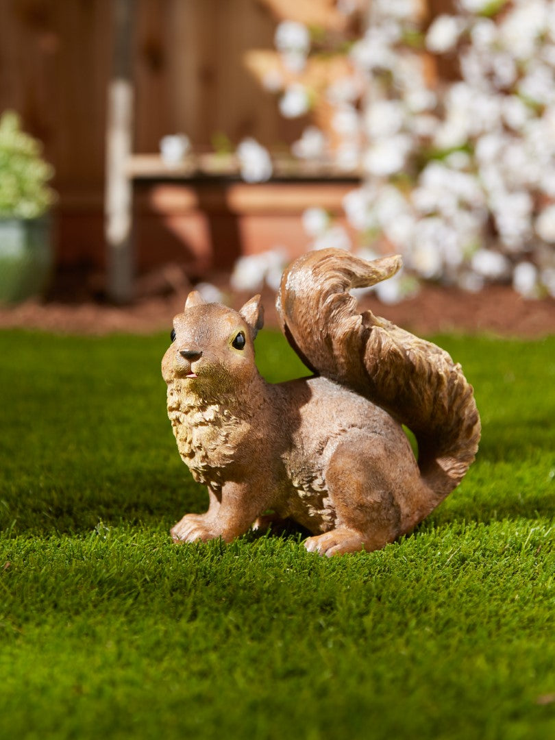 Curious Squirrel Garden Statue 