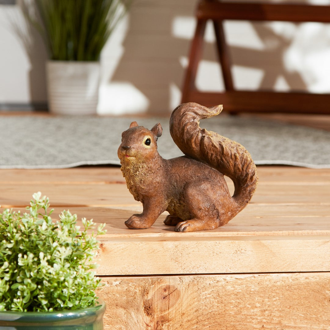 Curious Squirrel Garden Statue 