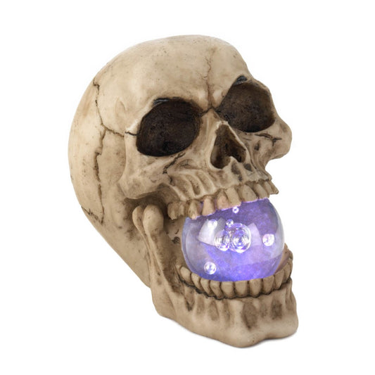 Skull With Light-Up Orb 