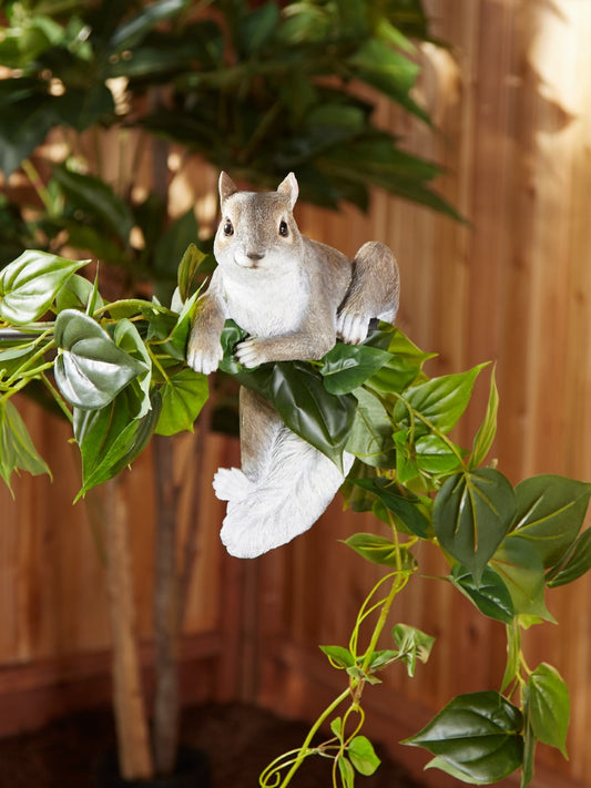 Climbing Chip Squirrel Decor 