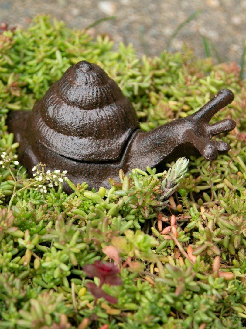 Garden Snail Key Hider 