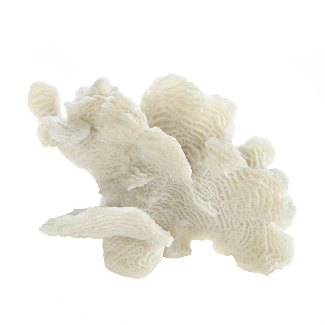 Large White Coral Tabletop Decor 