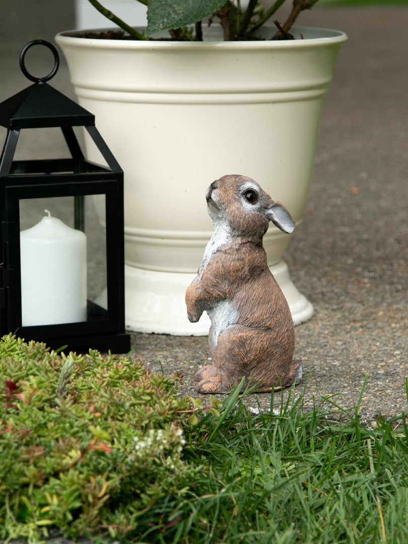 Standing Bunny Statue 