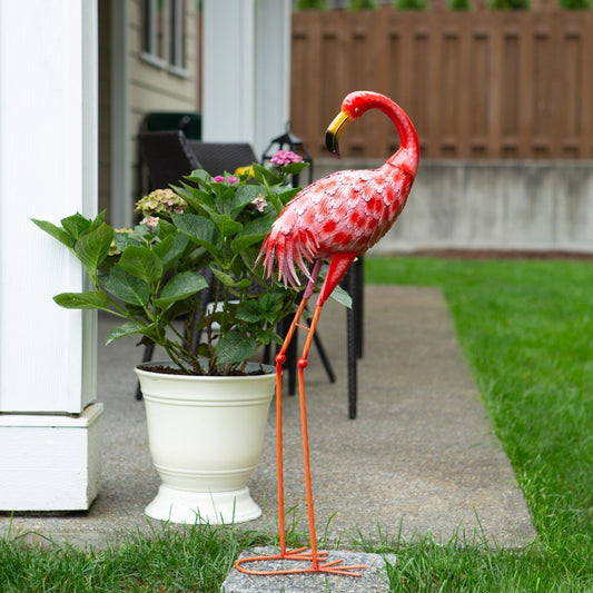 Bright Standing Flamingo Looking Back 