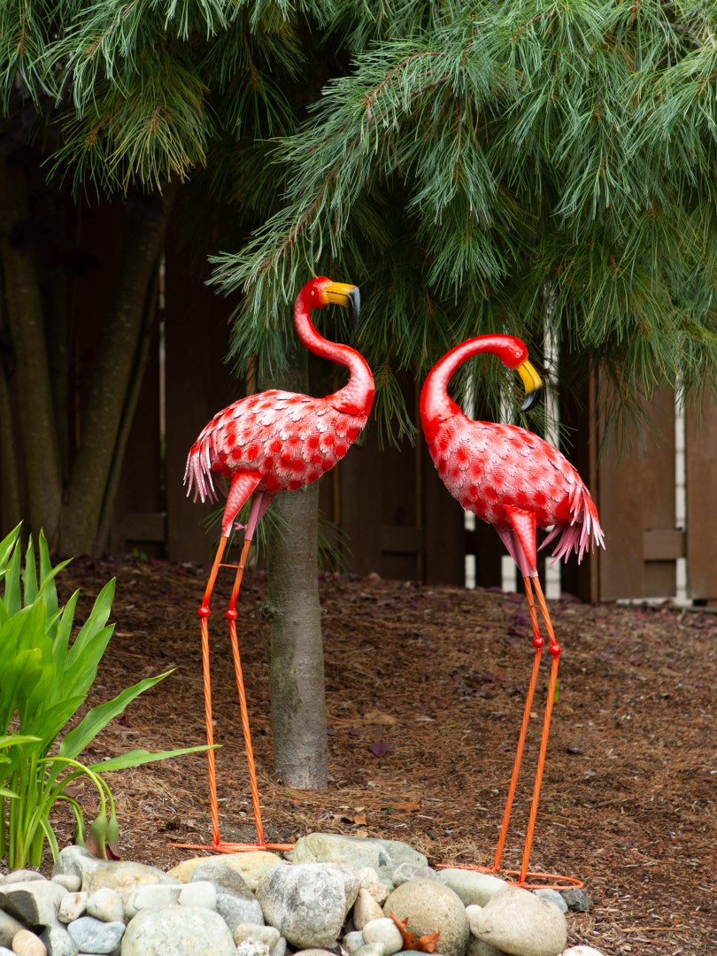 Bright Standing Flamingo Looking Back 