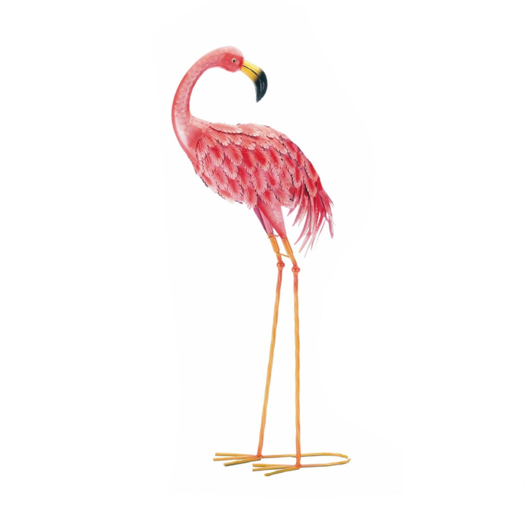 Bright Standing Flamingo Looking Back 