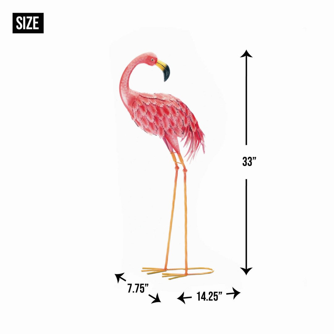 Bright Standing Flamingo Looking Back 