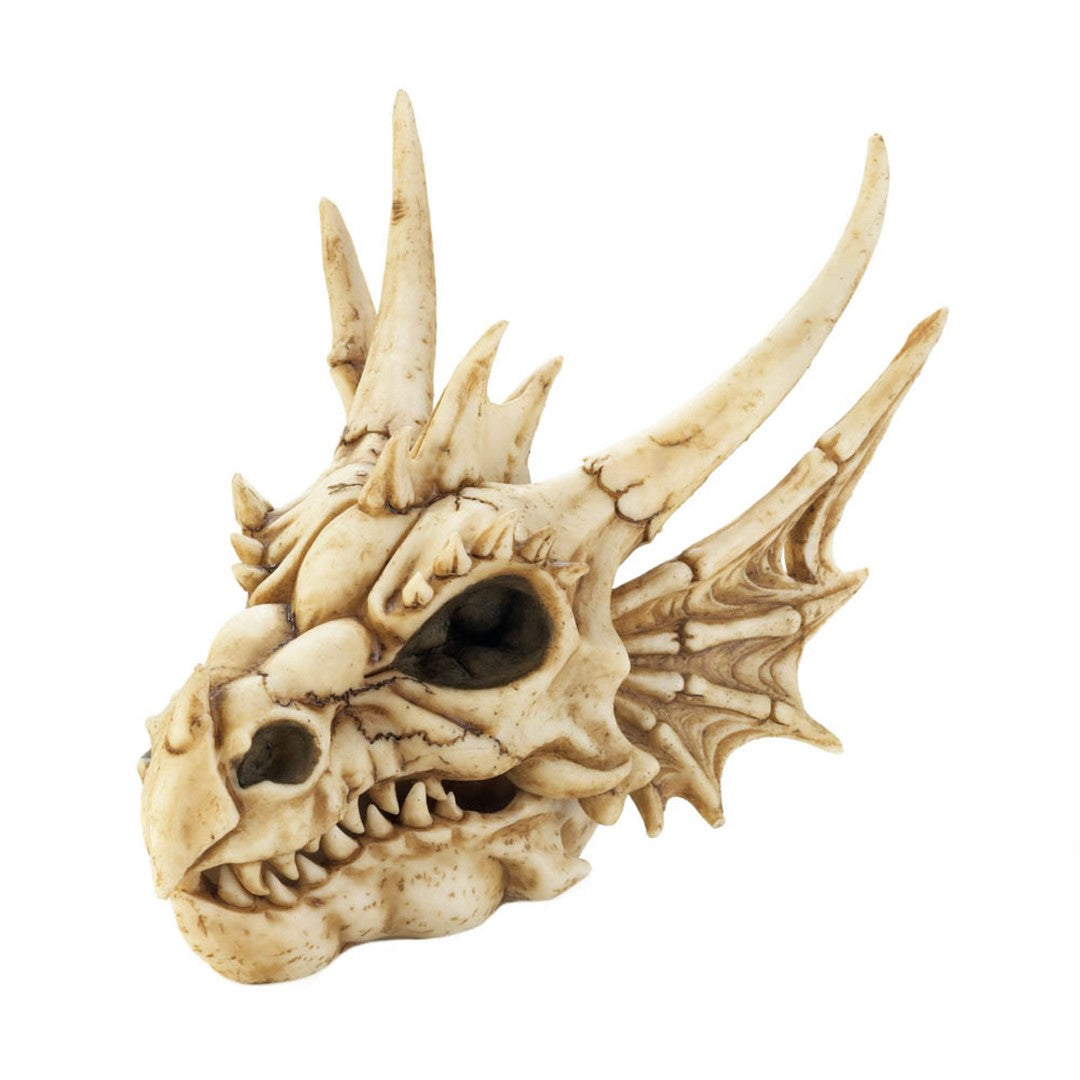 Dragon Skull Box 