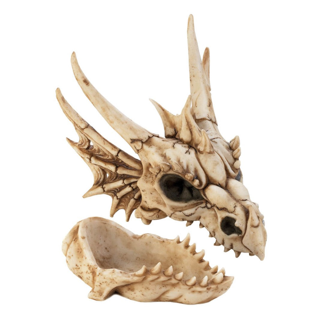 Dragon Skull Box 