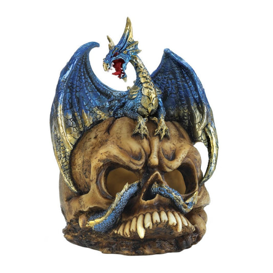 Blue Dragon And Skull Statue 