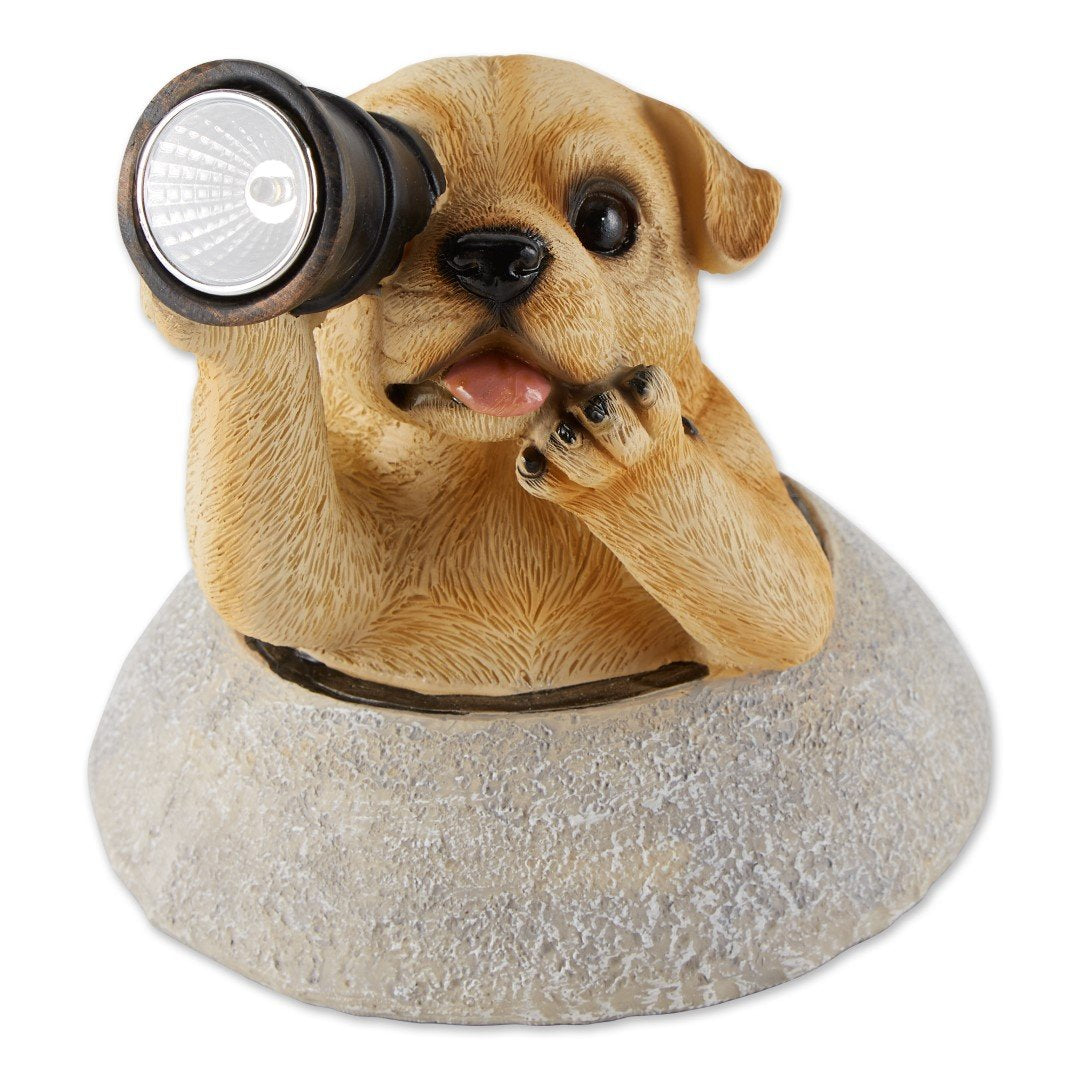 Puppy With Telescope Solar Light 