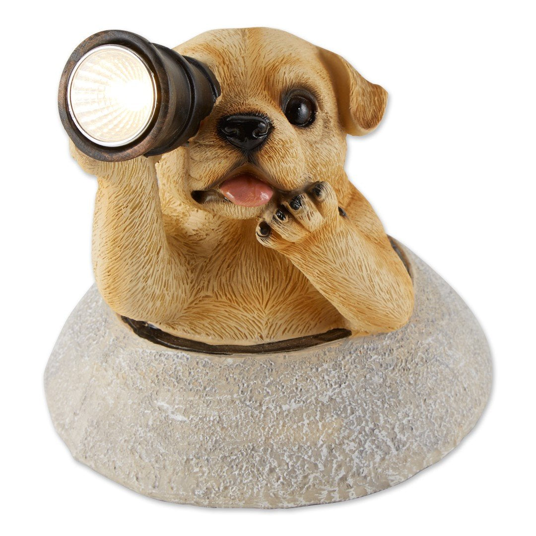 Puppy With Telescope Solar Light 