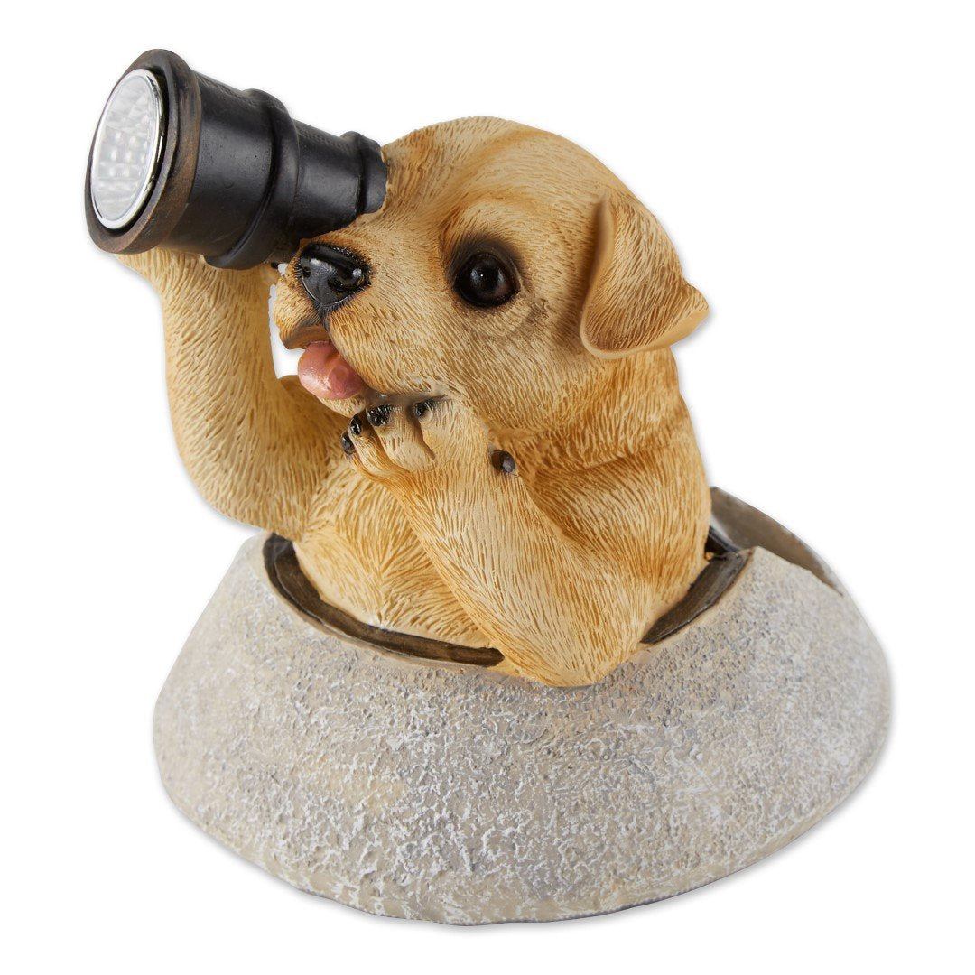 Puppy With Telescope Solar Light 