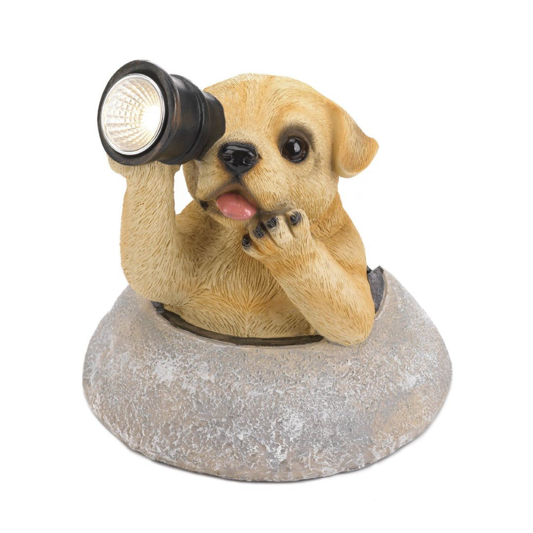 Puppy With Telescope Solar Light 