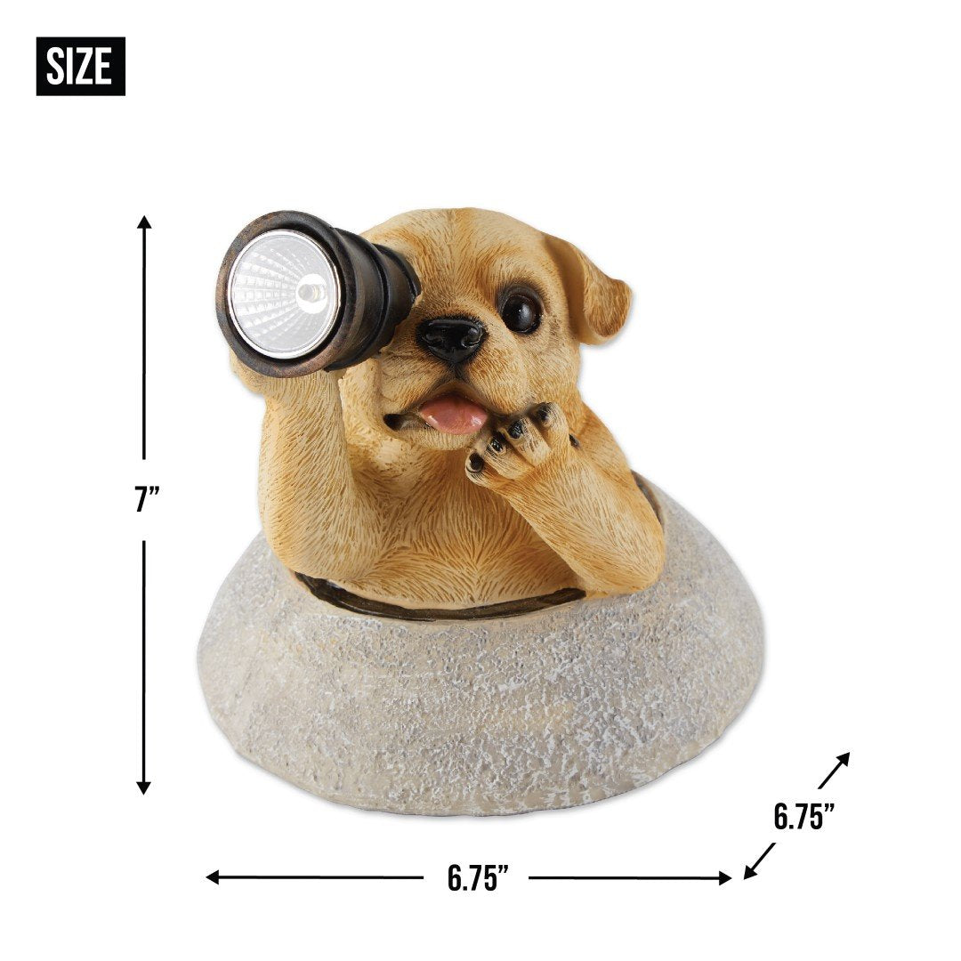 Puppy With Telescope Solar Light 