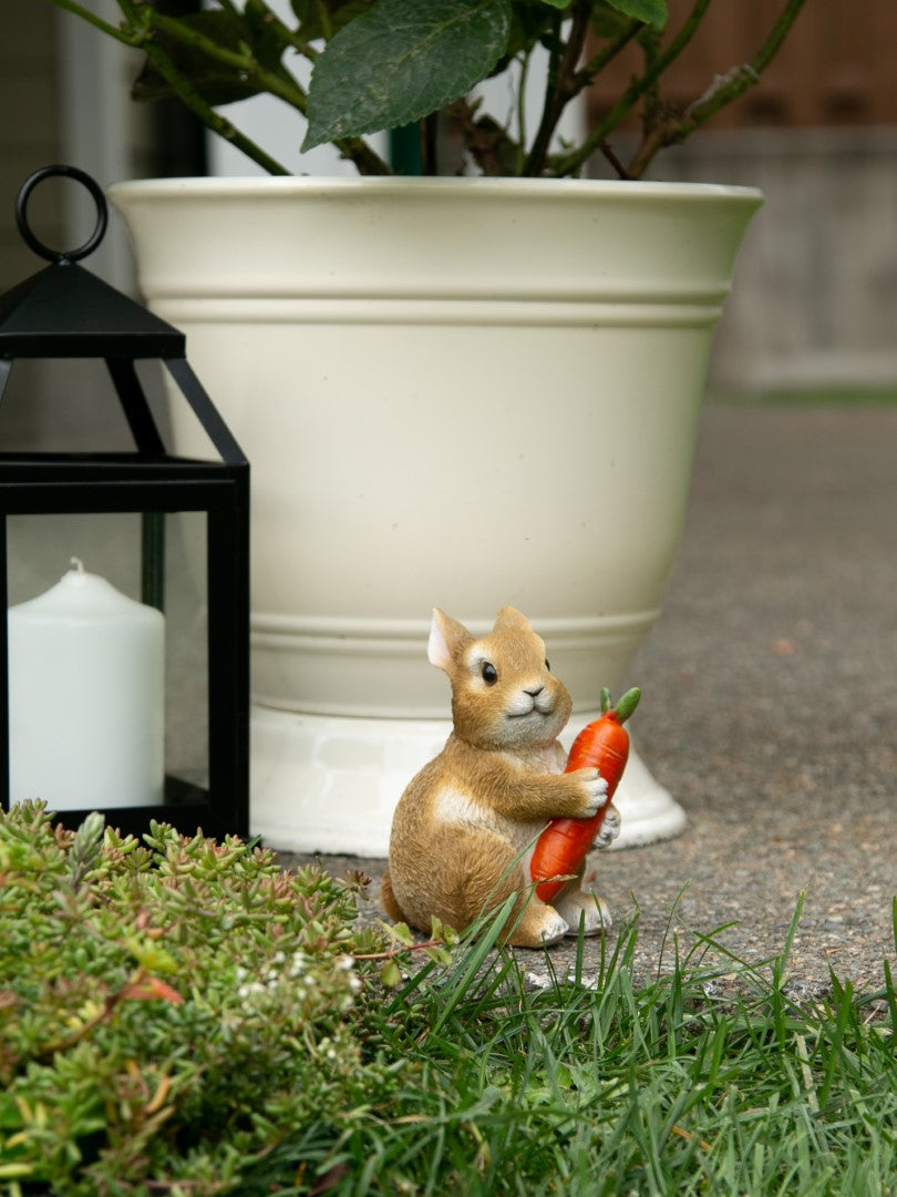 Bunny Hugging Carrot Garden Figurine 